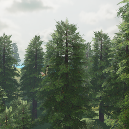 Realistic Camping Forest screenshot 3