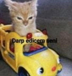 ZARY'S T-SHİRTS