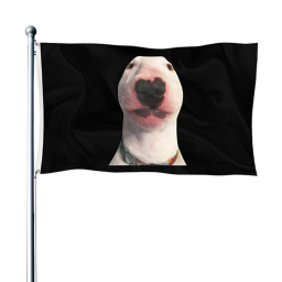 CAP THE FLAG