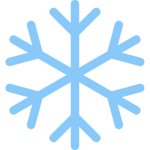 Snowflake Squad