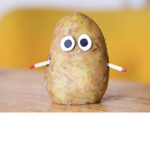 Squash potato
