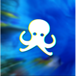 The Squid Squads