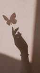 Le farfalle di Mia