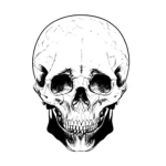 Camo Skull Evil Squad