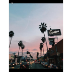 s u n s e t v i b e s