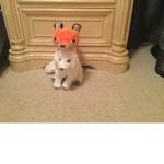 The fox and animal fam