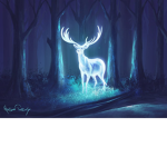 COLOURFUL DEER