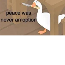 Ducks taken over Roblox castle