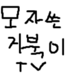 모자쓴거북이tv