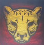 Castor Cheetahs Elite