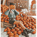adxrbsari