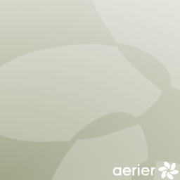 Riga International Airport | Aerier