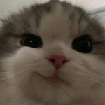 Copied ProductionsV1