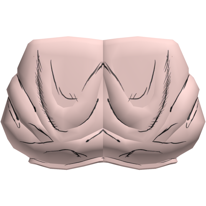Choso Waist V2.2