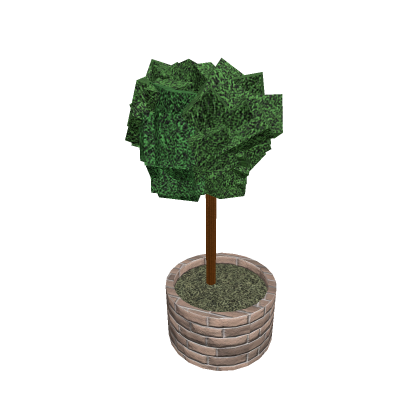 Small Tree & Plant Pot