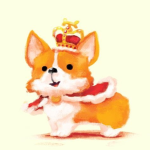 ~ Corgi Kingdom ~