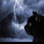 Storm Clan (roleplay game) (not finished)