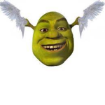 - - shrek fairies - -