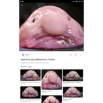 Memegroup lol