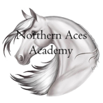 Northern Aces Academy