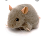 Mouses United!!!