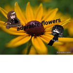 adorable flowers
