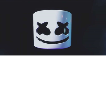 Marshmello Concert 3