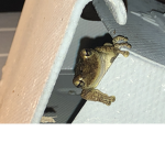 uh hello hi how are you Oof