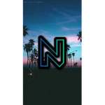 Nebyx Followers