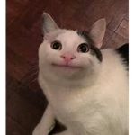Pet sim Trader