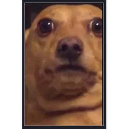 So Sad Studio Roblox group icon