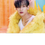 SENA ENTERTAINMENT