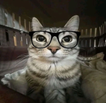 Itzz_max