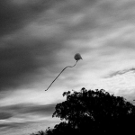 RoKite