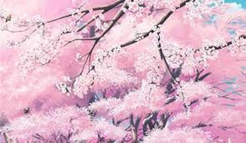Sakura vibe place