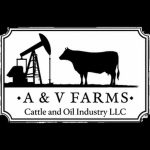 A & V Farms and Oil Industry LLC