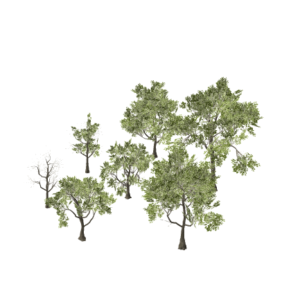 [UPDATE] Enhanced Realistic Southern Swamp Trees P