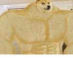 Da dogesX
