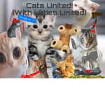 Cats United (with kitties united)
