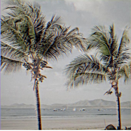 ✧