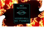 Anti Noobs!!!!