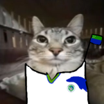 El grupo de Gatox