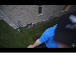 Pros only loll
