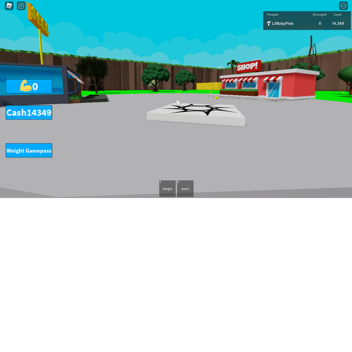 Weight Simulator