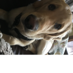 Puppy love!!!!!!!!!!