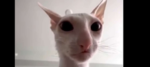 サムシング