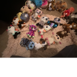 Beanie boo Paradise!