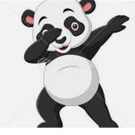 Black Panda Studio