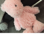 Mud the pig