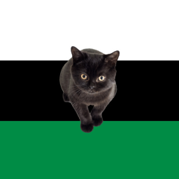 Kingston: Capital City of the Gonshmalez Empire